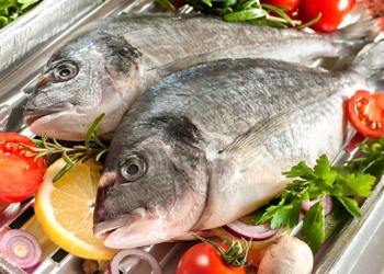 Sea Bream